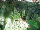 IMG 0319